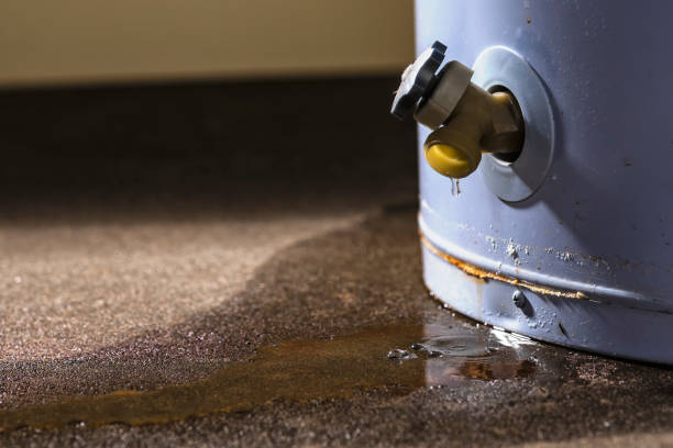 Trusted Gonzales, TX Water damage restoration Experts