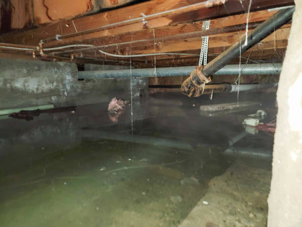 Best Emergency water damage restoration  in Gonzales, TX