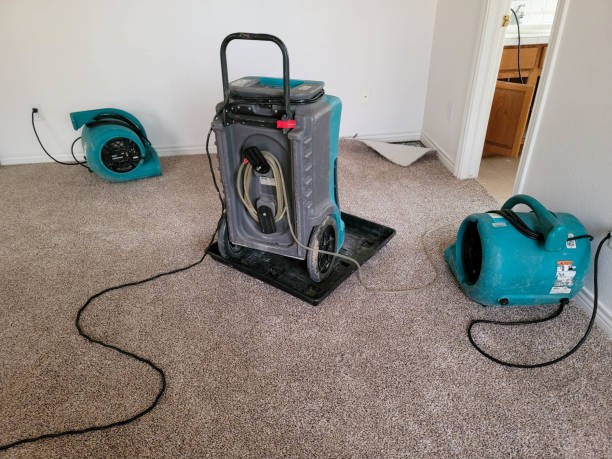 Best Water damage restoration near me  in Gonzales, TX