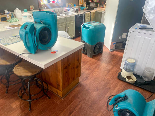 Best Water damage restoration specialists  in Gonzales, TX
