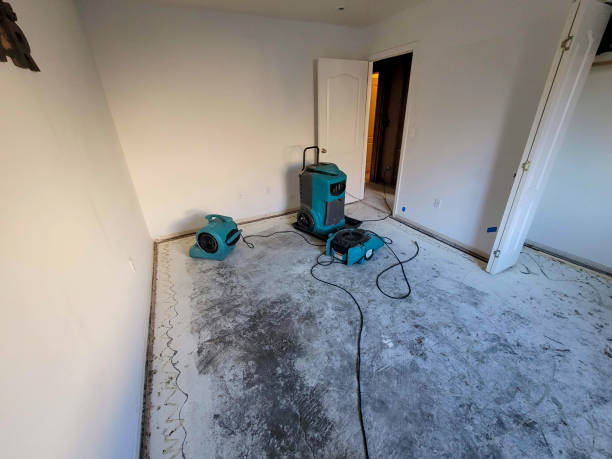 Best Mold removal after water damage  in Gonzales, TX