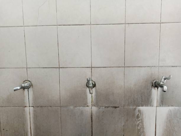 Best Sewage cleanup and water damage restoration  in Gonzales, TX