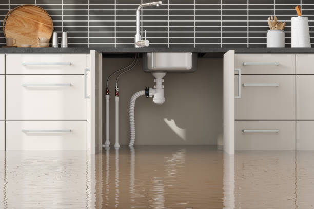 Water damage restoration insurance claims in Gonzales, TX