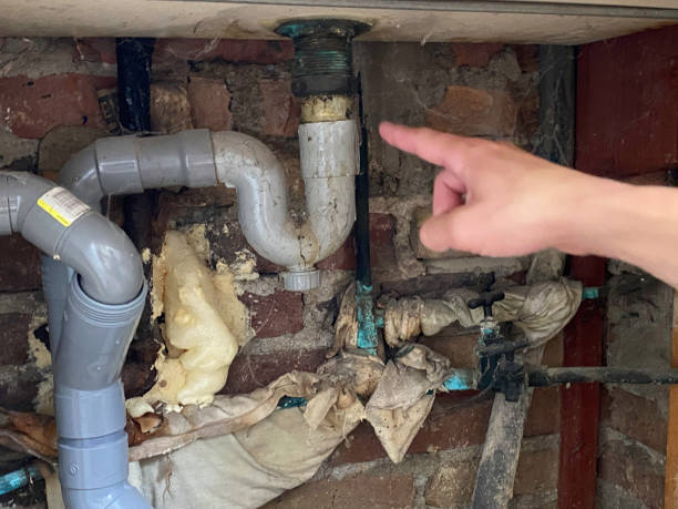 Reliable Gonzales, TX Water damage restoration Solutions